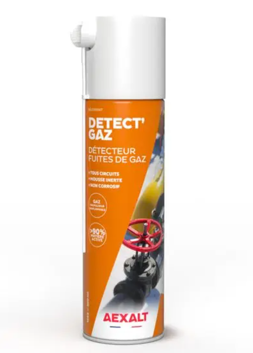 DÉTECT'GAZ - 650ML