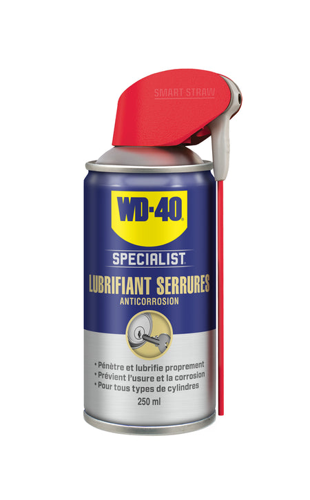 LUBRIFIANT SERRURES WD-40  - 250 ML - Photo 1