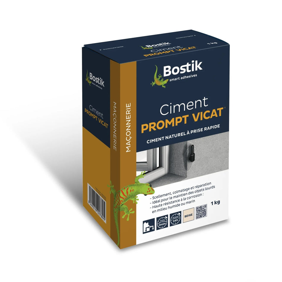 CIMENT PRISE RAPIDE PROMPT VICAT 1KG