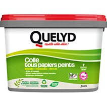 QUELYD COLLE TOUS PAPIERS PEINTS AV INDICATEUR 5KG