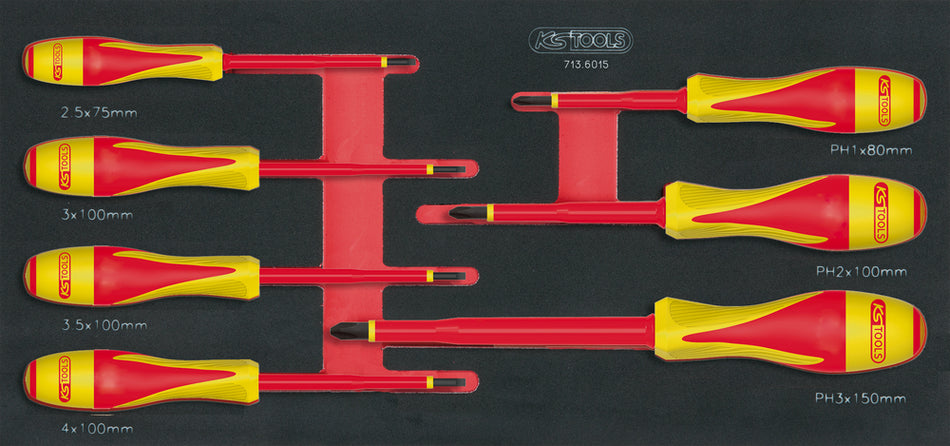 Module tournevis isolés