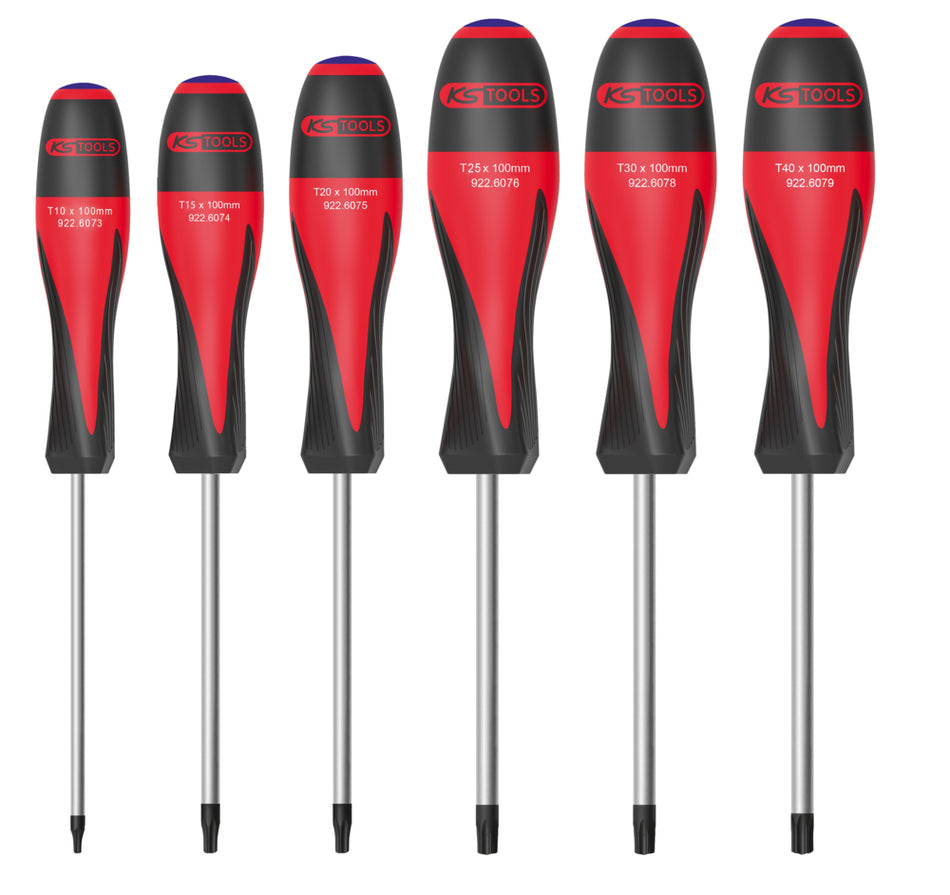 Jeu 6 tournevis ULT TORX percé