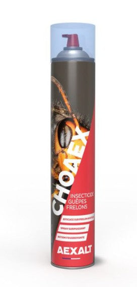CHOAEX INSECTICIDE GUÊPES, FRELONS AÉROSOL - 1000M