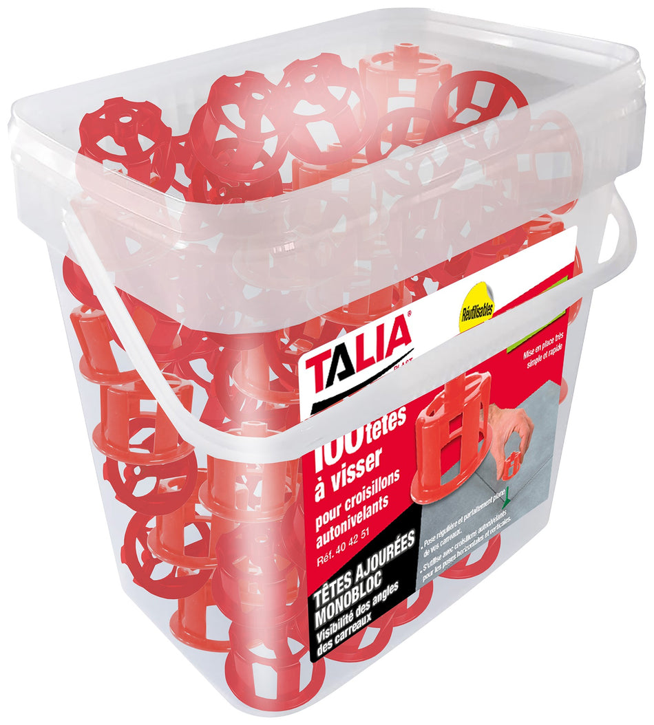 TETES A VISSER MONOBLOCS/CARREAUX 3-30MM 100PIECES