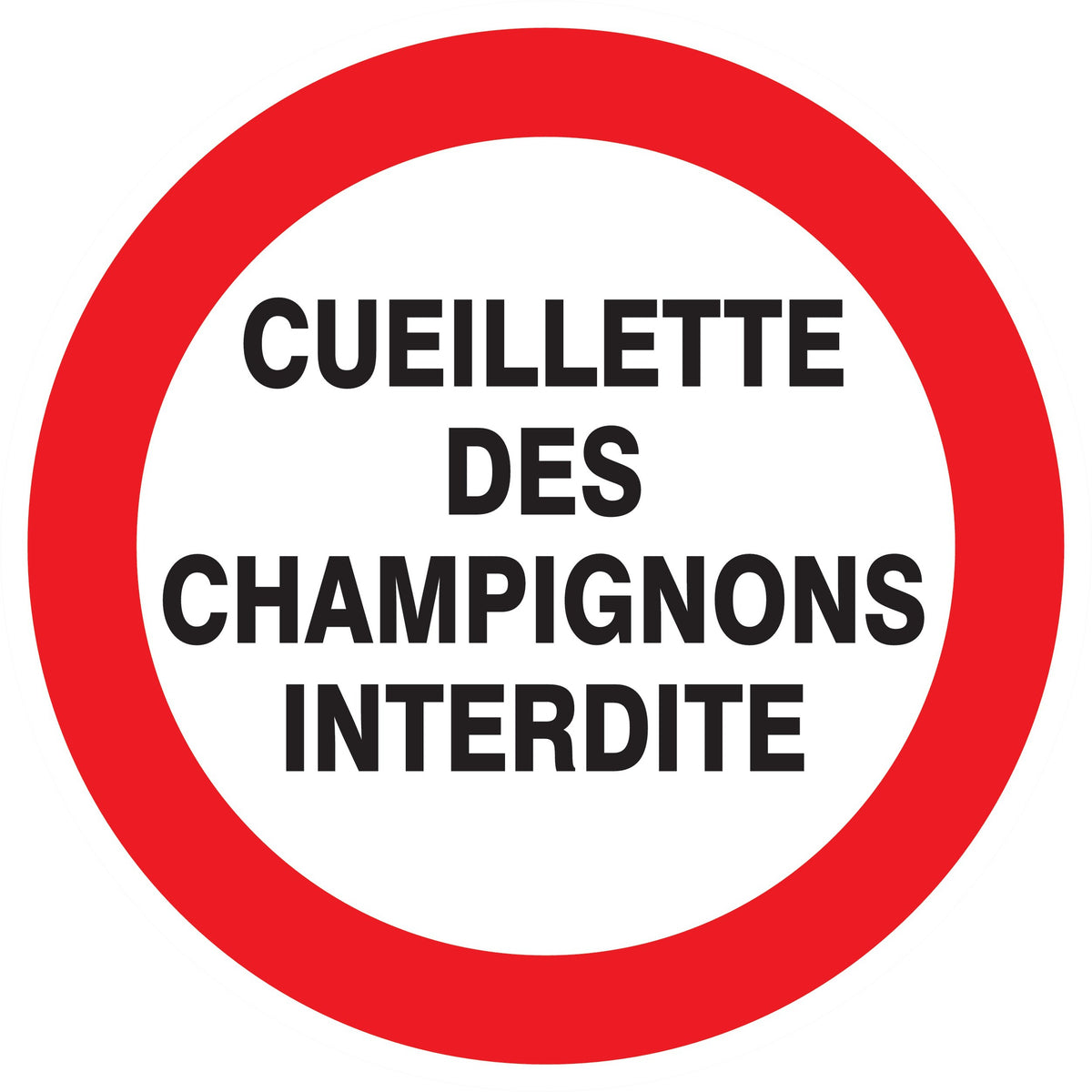 CUEILLETTE DES CHAMPIGNONS INT - Photo 1