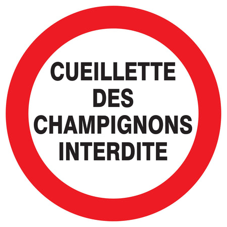 CUEILLETTE DES CHAMPIGNONS INT - Photo 1