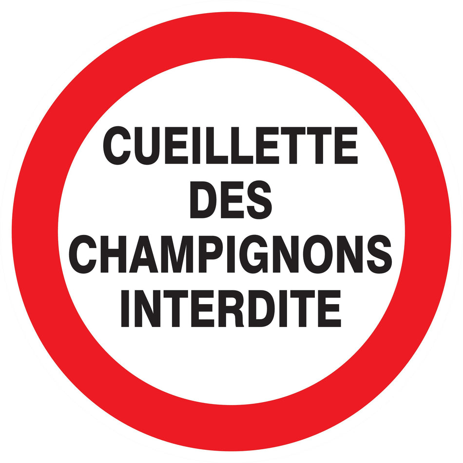 CUEILLETTE DES CHAMPIGNONS INT