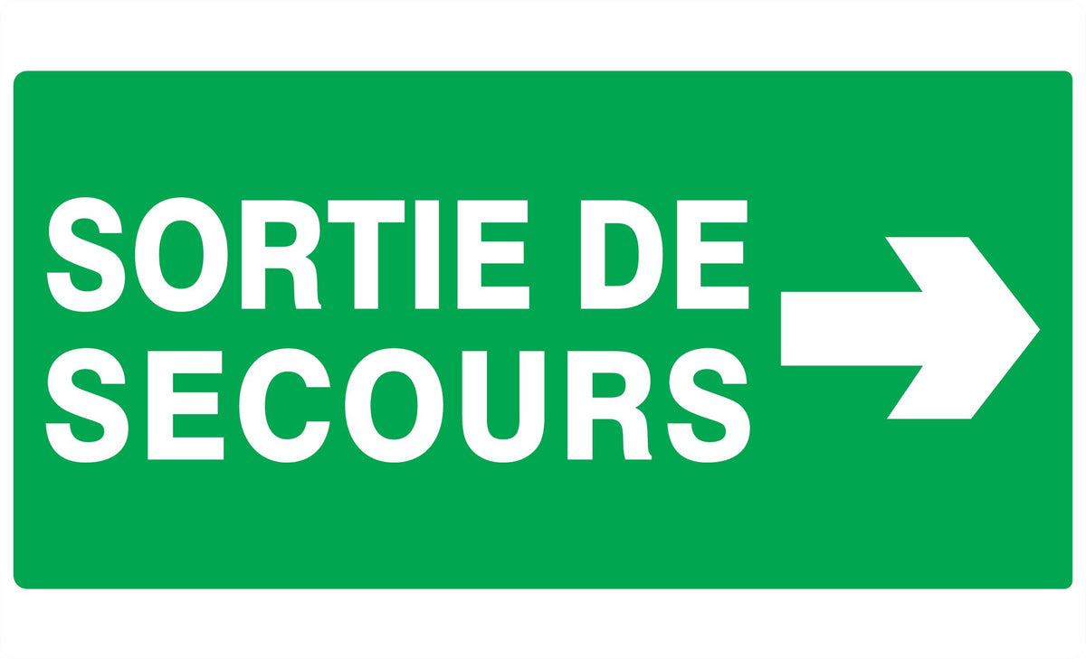 SORTIE DE SECOURS FLECHE A DRO - Photo 1